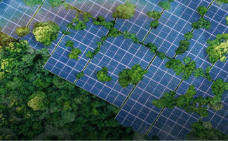 India Net-Zero Zone