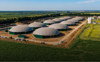Biofuels Zone