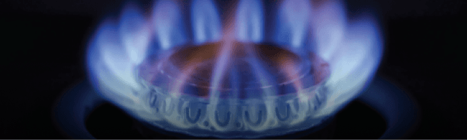 City Gas Distribution Zone