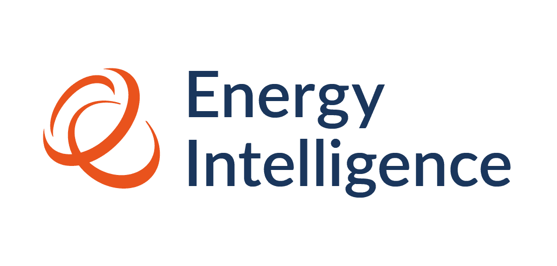 Energy Intelligence