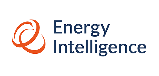 Energy Intelligence