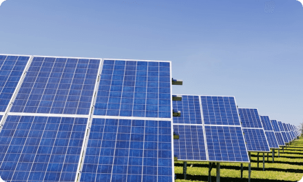 India Net-Zero Zone