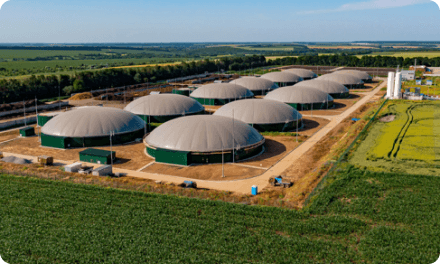 Biofuels Zone