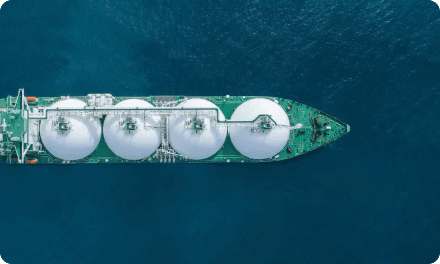 LNG Ecosystem Zone